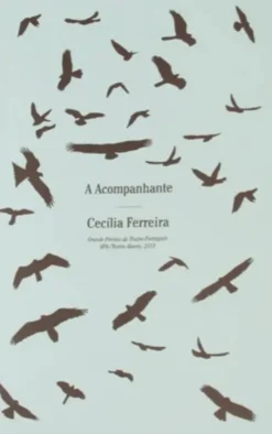 A Acompanhante