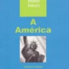 A América