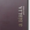 A Bíblia Para Todos (Edição Católica)