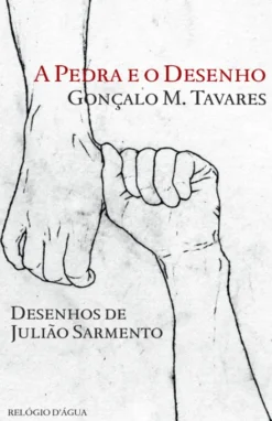 A Pedra e o Desenho