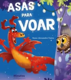 Asas para Voar