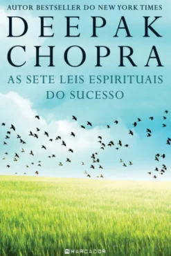 As Sete Leis Espirituais do Sucesso