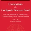 Comentário do Código de Processo Penal - Volume 2 - à luz da Constituição da República e da Convenção Europeia dos Direitos Humanos