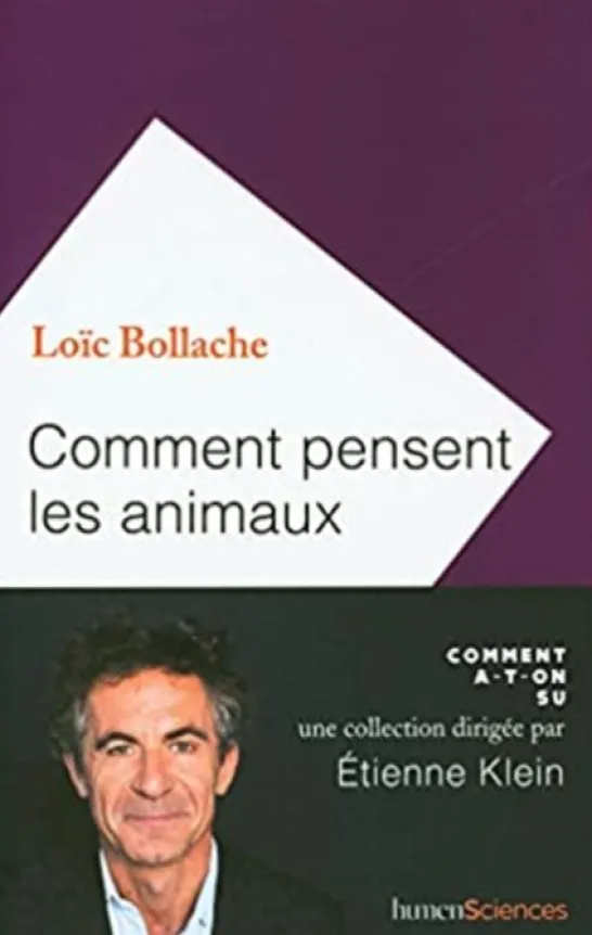 Comment pensent les animaux