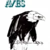 Como Desenhar Aves