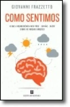 Como Sentimos - O que a Neurociência nos pode  ou não  dizer sobre as nossas emoções