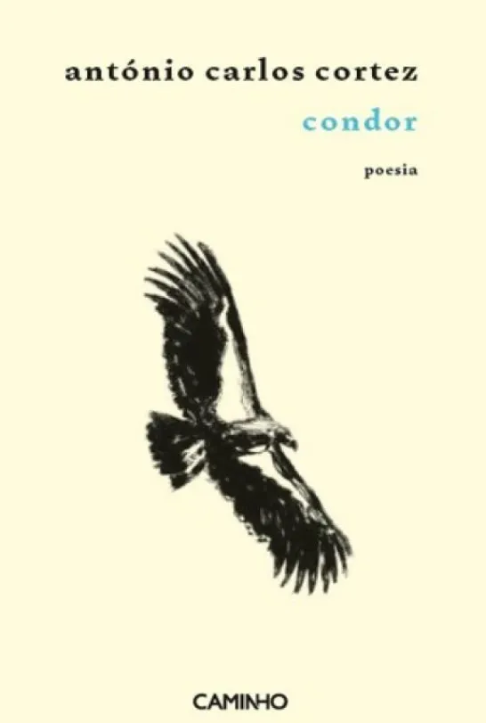 Condor