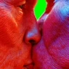 Contemporânea #11 - On Hybridity and The Poetics of Resistance