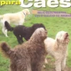 Cozinha Para Cães