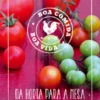 Da Horta para a Mesa - Boa Comida, Boa Vida