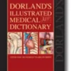 Dorland's Illustrated Medical Dictionary