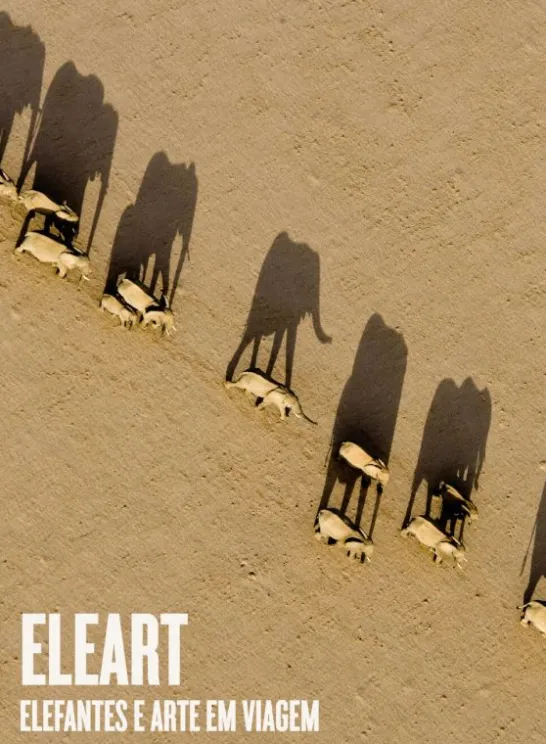 EleArt - Elefantes e Arte em Viagem