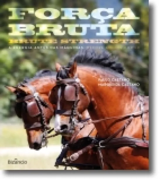 Força Bruta: a energia antes das máquinas