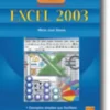 Fundamental do Excel 2003