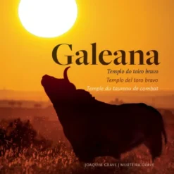 Galeana - Templo do Toiro Bravo