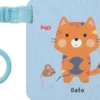 Gato