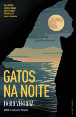 Gatos na Noite