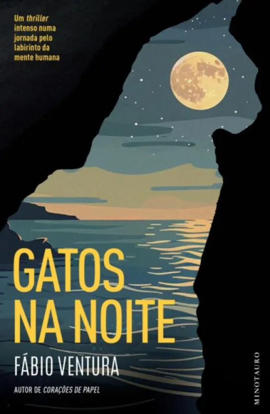 Gatos na Noite