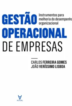 Gestão Operacional de Empresas - Instrumentos para Melhoria do Desempenho Organizacional