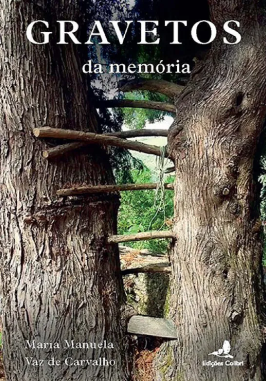 Gravetos da Memória