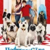 Hotel Para Cães