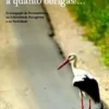 Infertilidade - A Quanto Obrigas