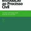 Introdução ao Processo Civil - Conceito e Princípios Gerais à Luz do CPC de 2013