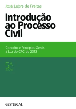 Introdução ao Processo Civil - Conceito e Princípios Gerais à Luz do CPC de 2013