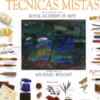 Introdução às Técnicas Mistas
