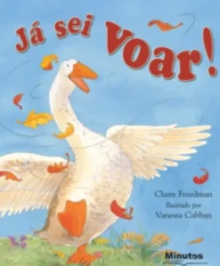 Já Sei Voar!