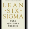 Lean Six Sigma, Para Qualquer Negócio