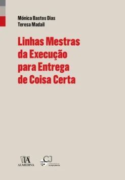 Linhas Mestras da Execução Para Entrega de Coisa Certa