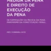 Medida da Pena e Direito de Execução da Pena - Guião - Determinação da Medida da Pena: Paroxismo da Constituição Penal