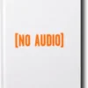 No Audio