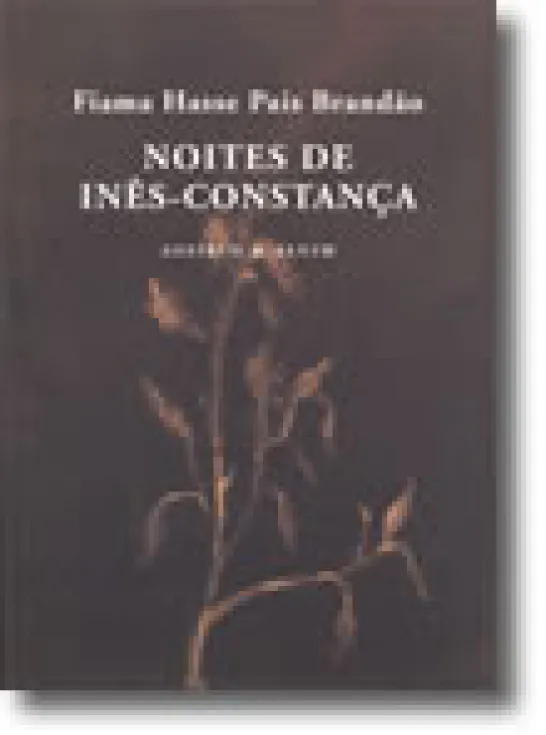 Noites de Inês-Constança