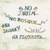 No Jardim...No Bosque...Na Savana...Na Floresta...