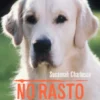 No Rasto dos Desaparecidos - Amor e Aventura de Um Cão de Busca e Salvamento