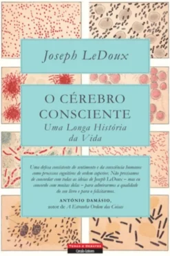 O Cérebro Consciente