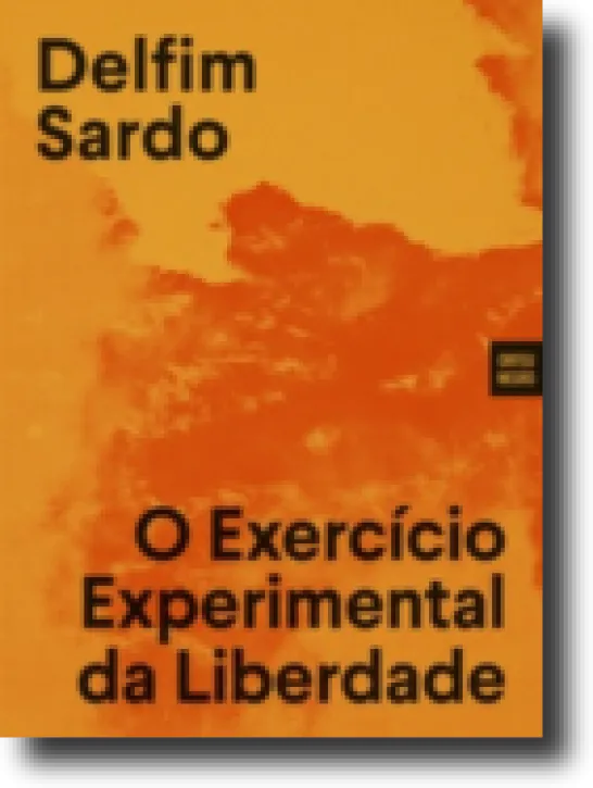 O Exercício Experimental da Liberdade: dispositivos da arte no século XX