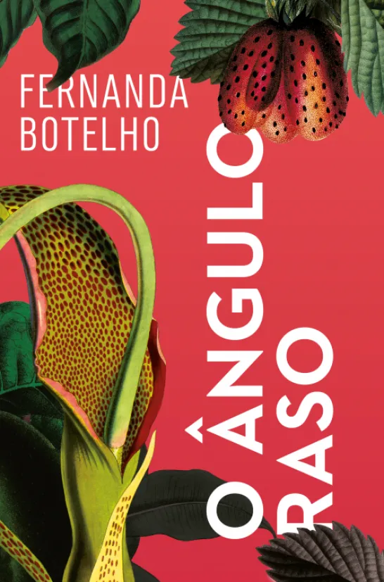 O Ângulo Raso