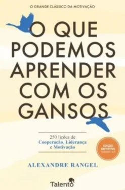 O que Podemos Aprender com os Gansos