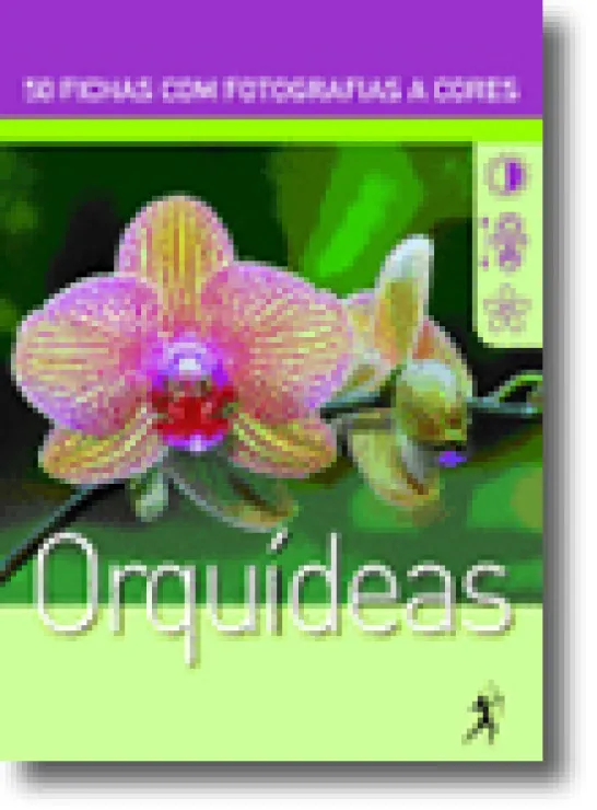 Orquídeas