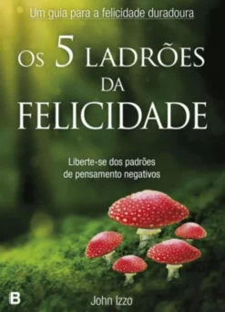Os 5 Ladrões da Felicidade