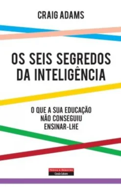Os Seis Segredos da Inteligência - O que a sua educação não conseguiu ensinar-lhe