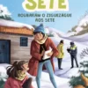 Os Sete N.º13 - Roubaram o Ziguezague aos Sete
