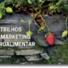 Os Trilhos do Marketing Agroalimentar