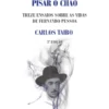 Parecia Não Pisar o Chão - Treze ensaios sobre as vidas de Fernando Pessoa