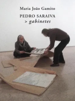 Pedro Saraiva> gabinetes