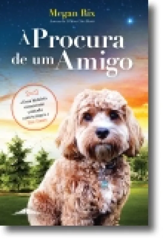 À Procura de Um Amigo