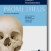 Prometheus - Atlas de Anatomia: Cabeça e Neuroanatomia -Volume 3